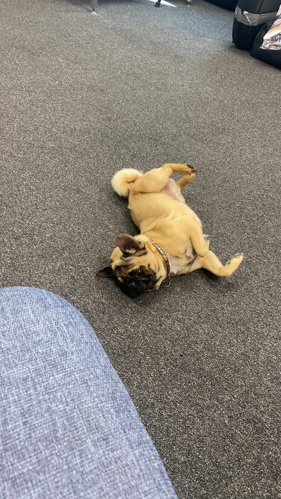 Image uploaded by AD