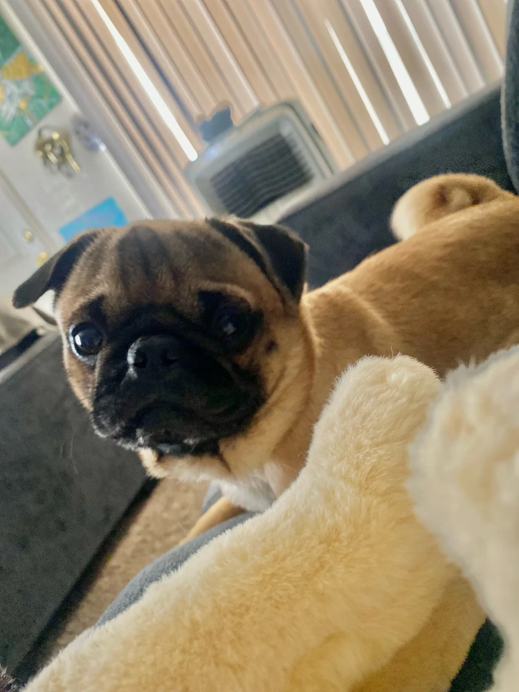 Image uploaded by AD