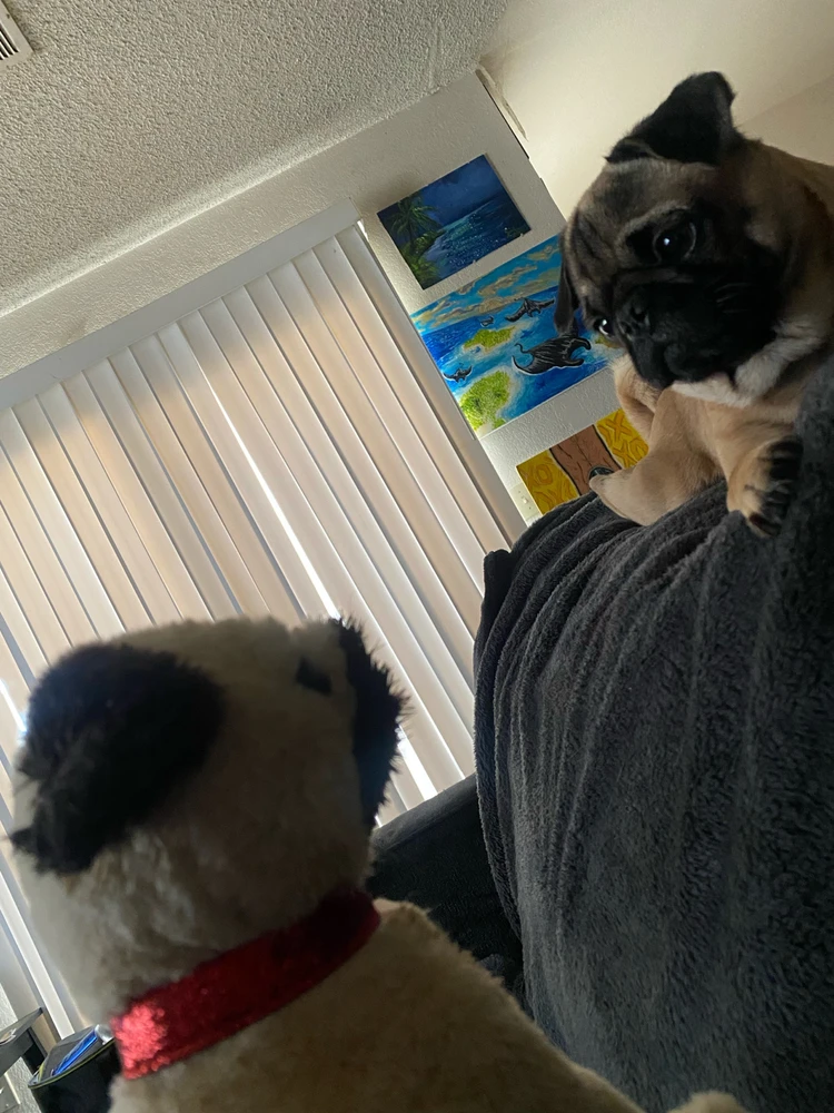 Image uploaded by AD