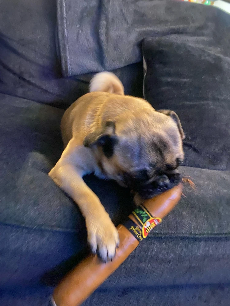 Image uploaded by AD