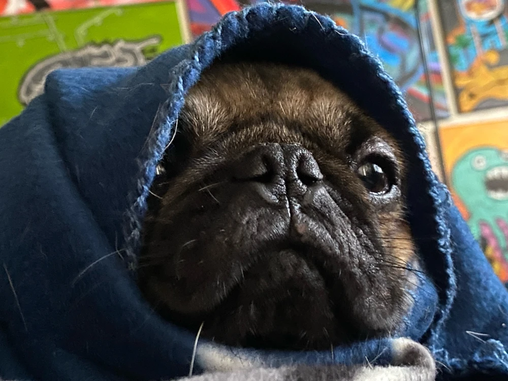 Image uploaded by AD