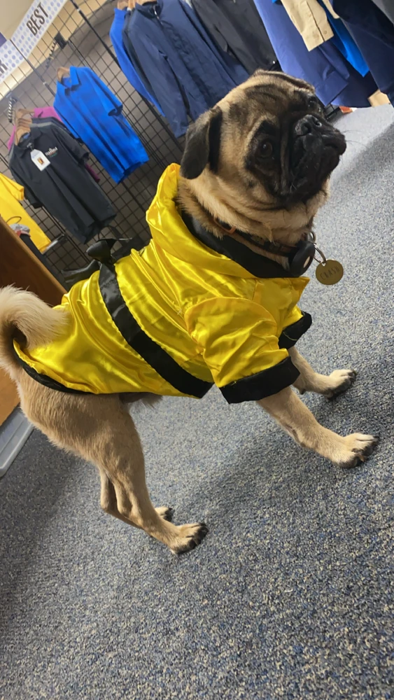 Image uploaded by AD