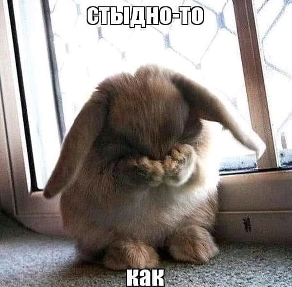 GIF загрузил Екатерина