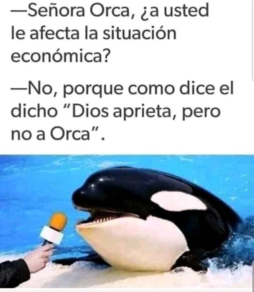 GIF subido por Sergio