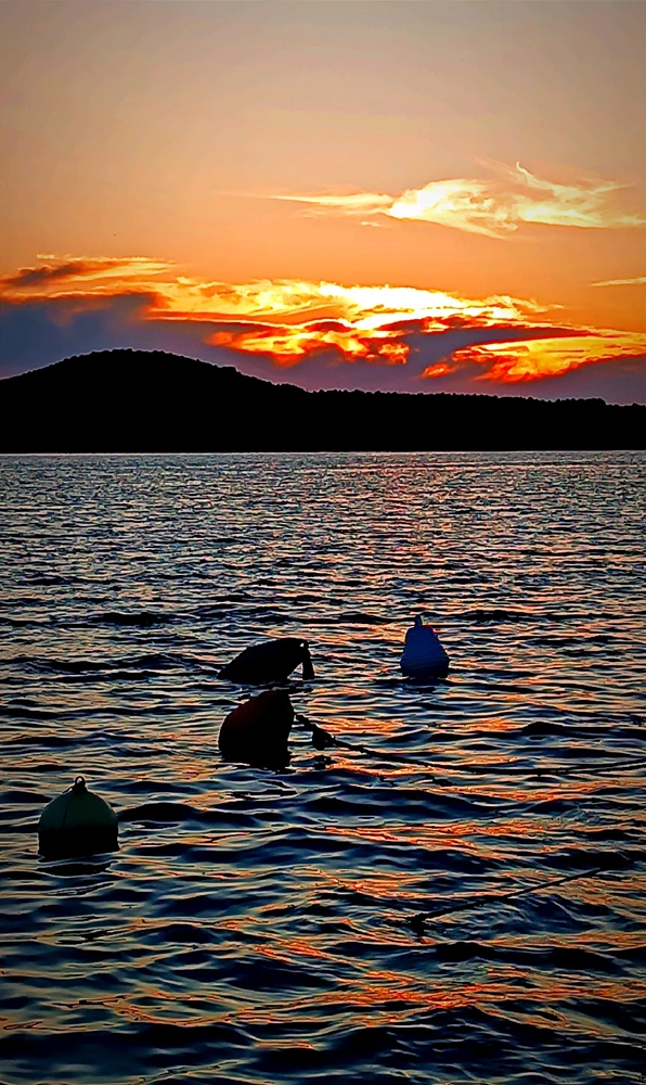 GIF učitao/la Antonio