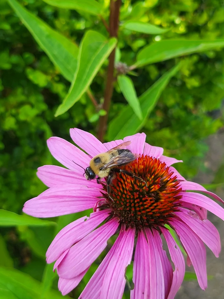 Image uploaded by Alex