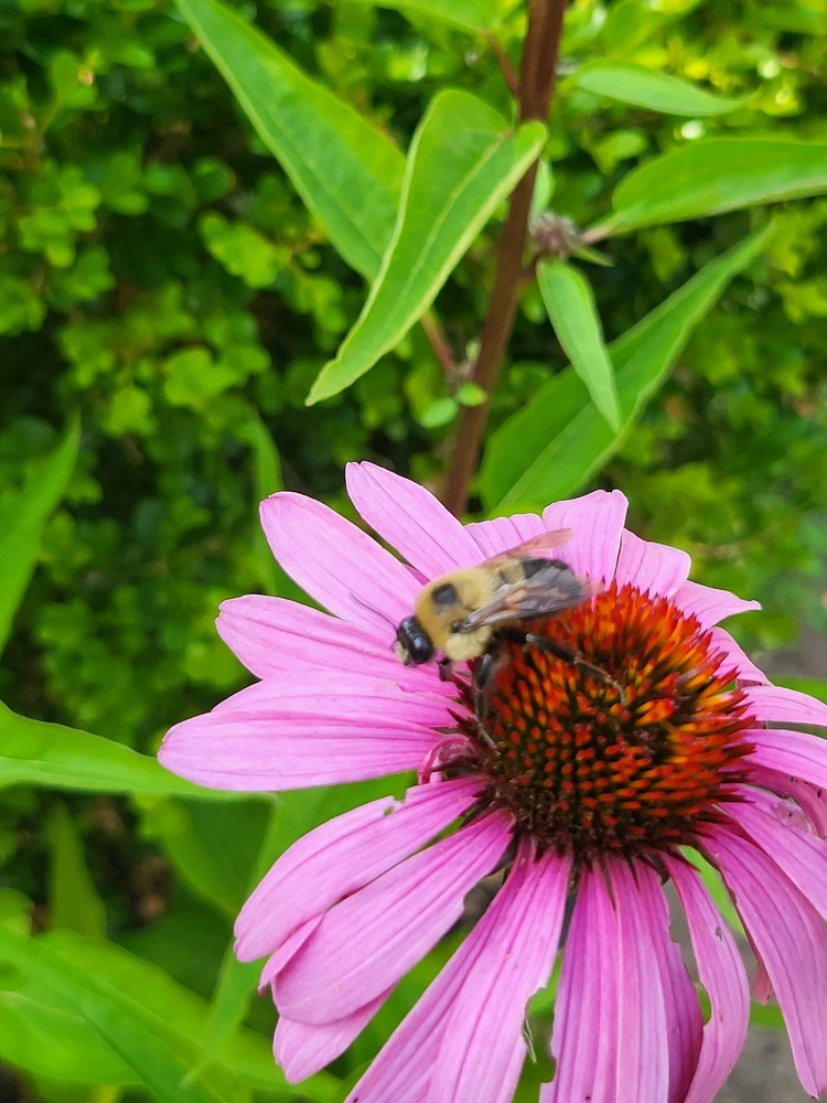 Image uploaded by Alex