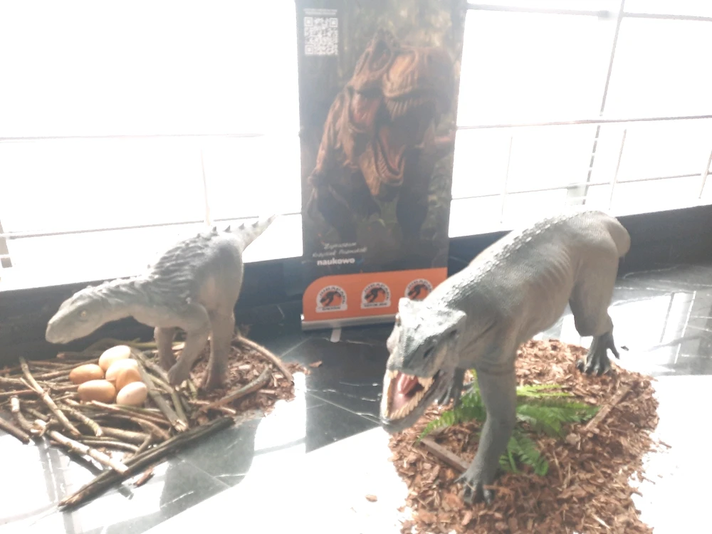 GIF dodany przez Sueñoelespacio