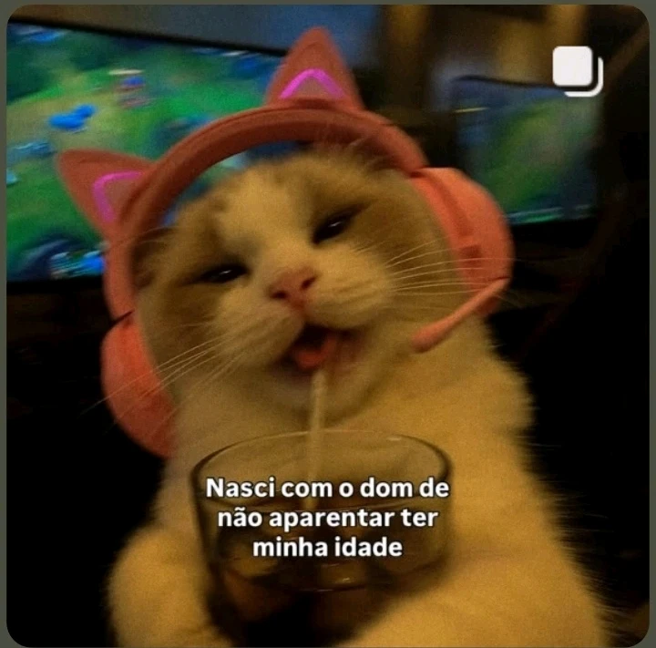 O povo perguntando porque eu não tô na escola kkk e não deixando eu consumir bebida álcolica kkkk