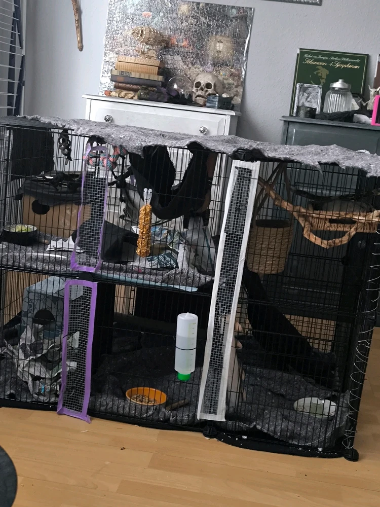 GIF hochgeladen von Luzi