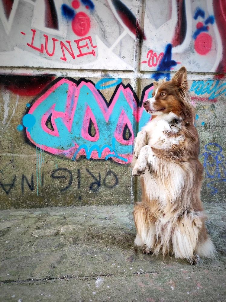 GIF ajouté par Shiroi tenshi