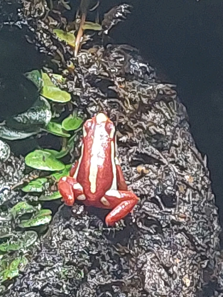 GIF uploaded by Jonathan