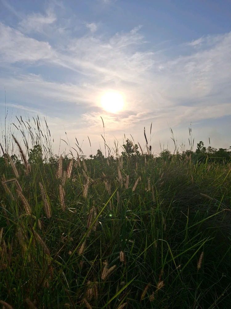 GIF diunggah oleh Afrila