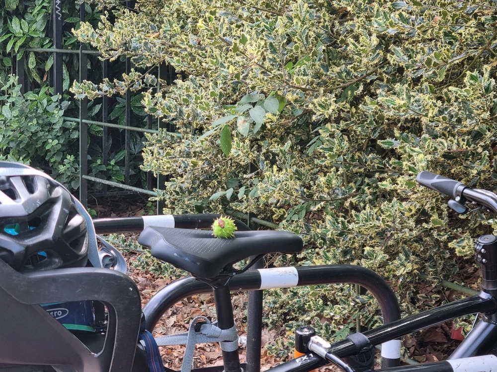 Image uploaded by Liz