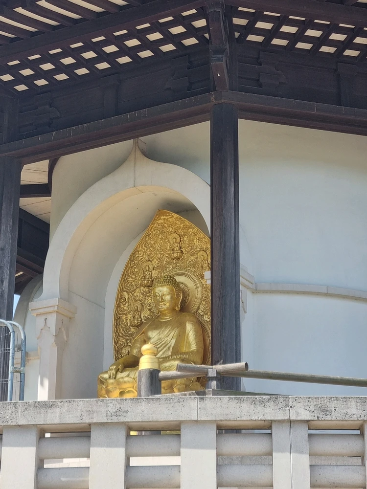 Image uploaded by Liz