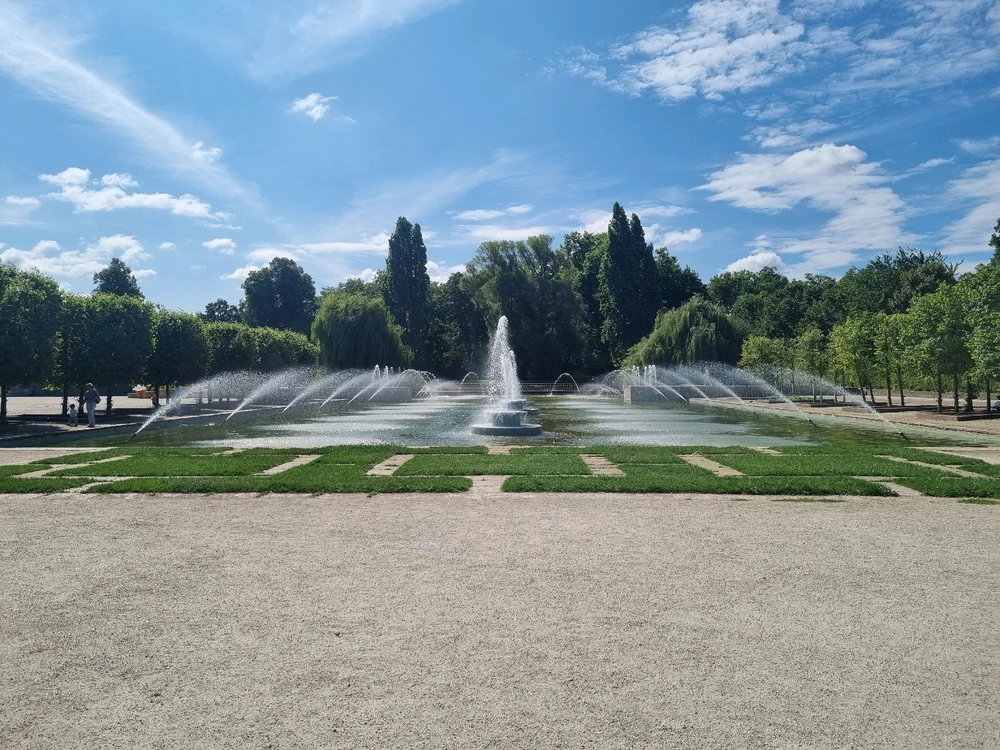 Image uploaded by Liz