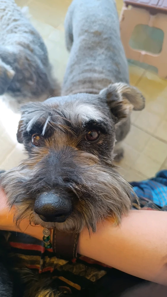 GIF caricata da Priscila