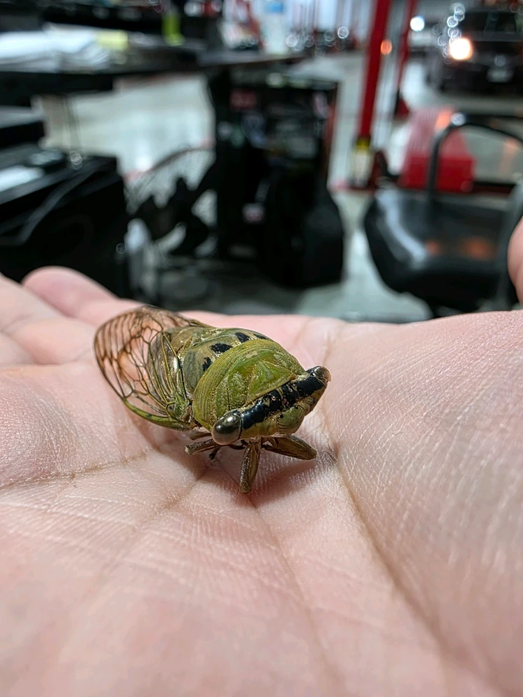 GIF uploaded by Conner