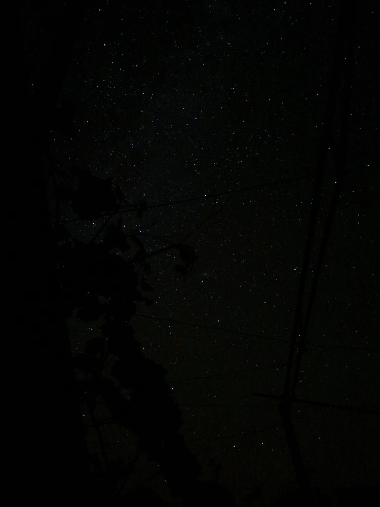 Yuliya님이 올린 사진