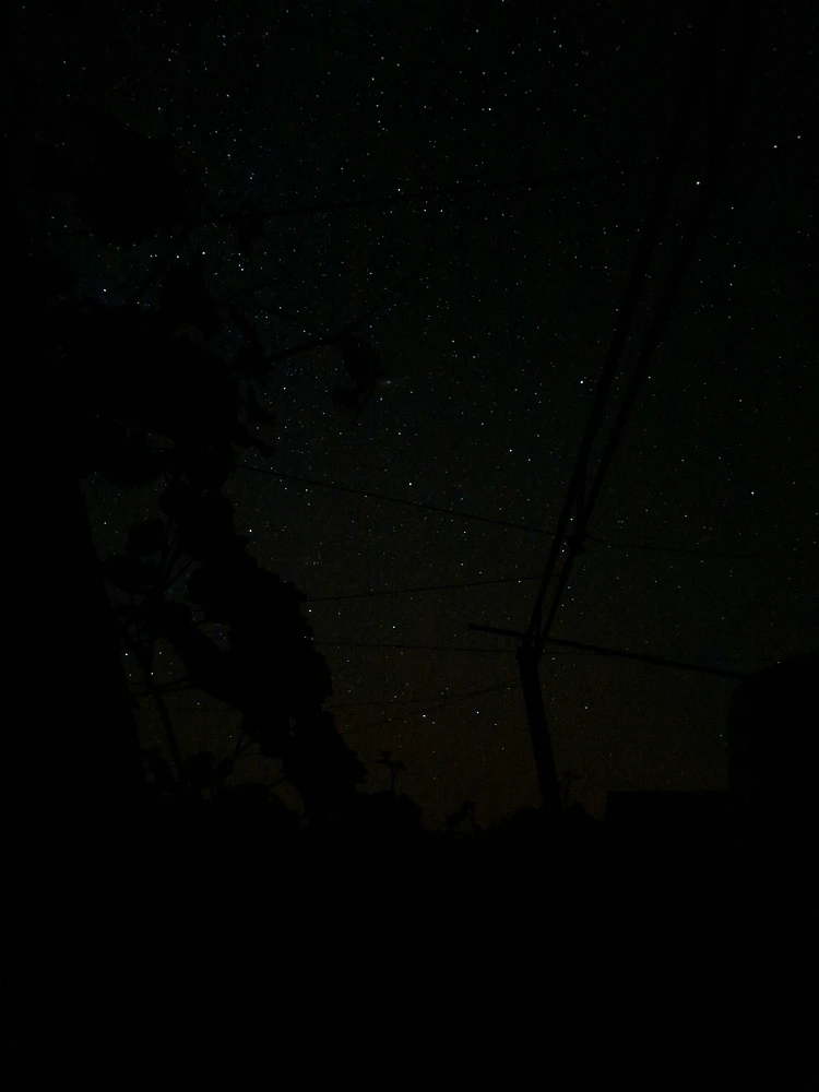 Yuliya님이 올린 사진