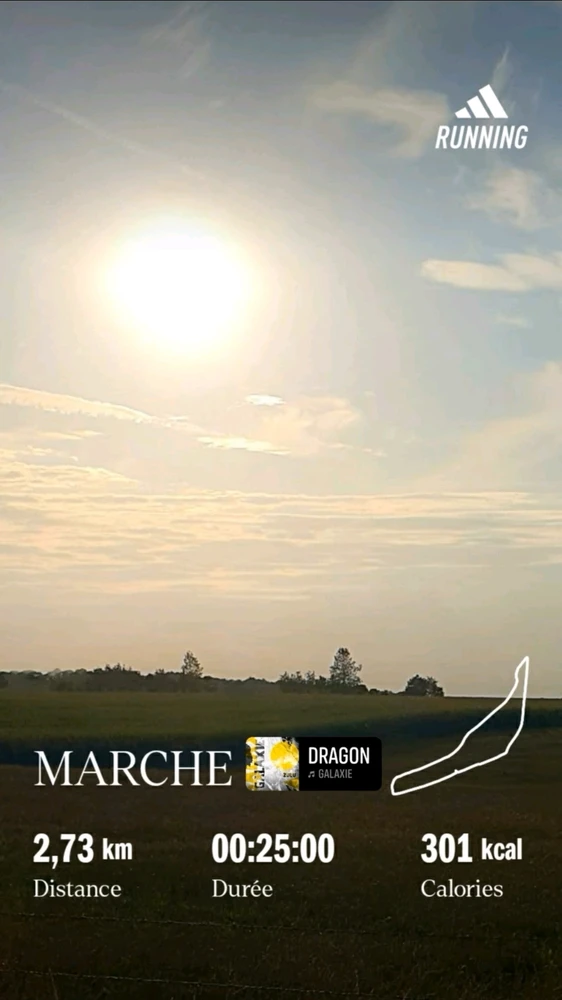 Un peu chaque jour...