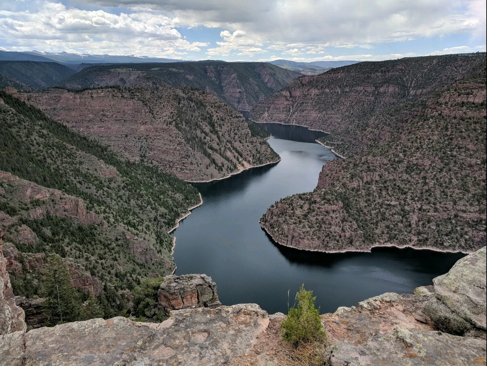 GIF uploaded by Chani