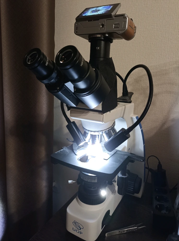 Фото загрузил Тимур