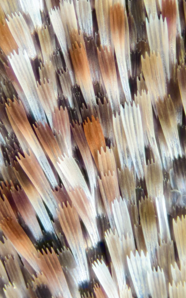 Фото загрузил Тимур