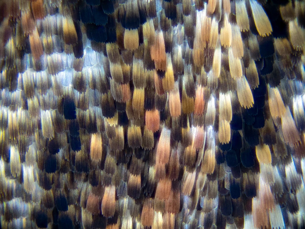 Фото загрузил Тимур