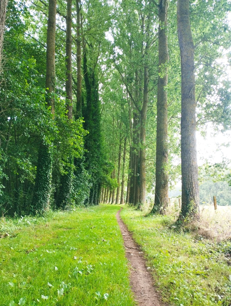 Image ajoutée par Coralie