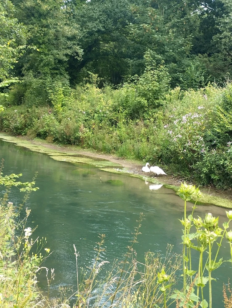 Image ajoutée par Coralie