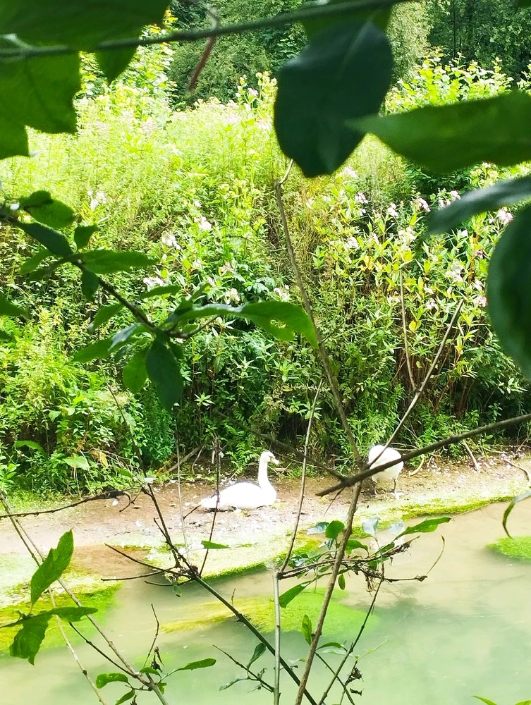 Image ajoutée par Coralie