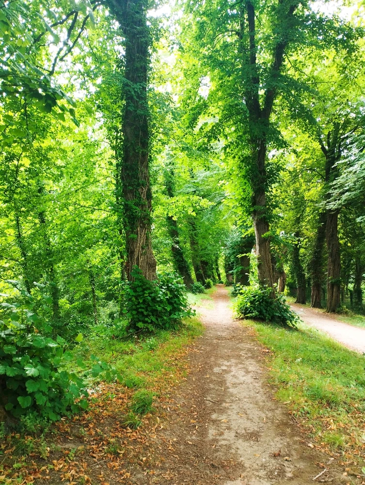 Image ajoutée par Coralie