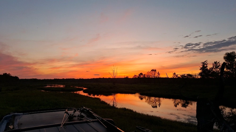 GIF uploaded by Serj