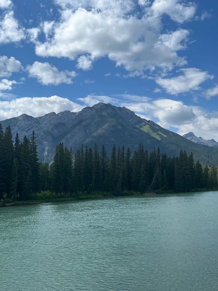 Image uploaded by Brad