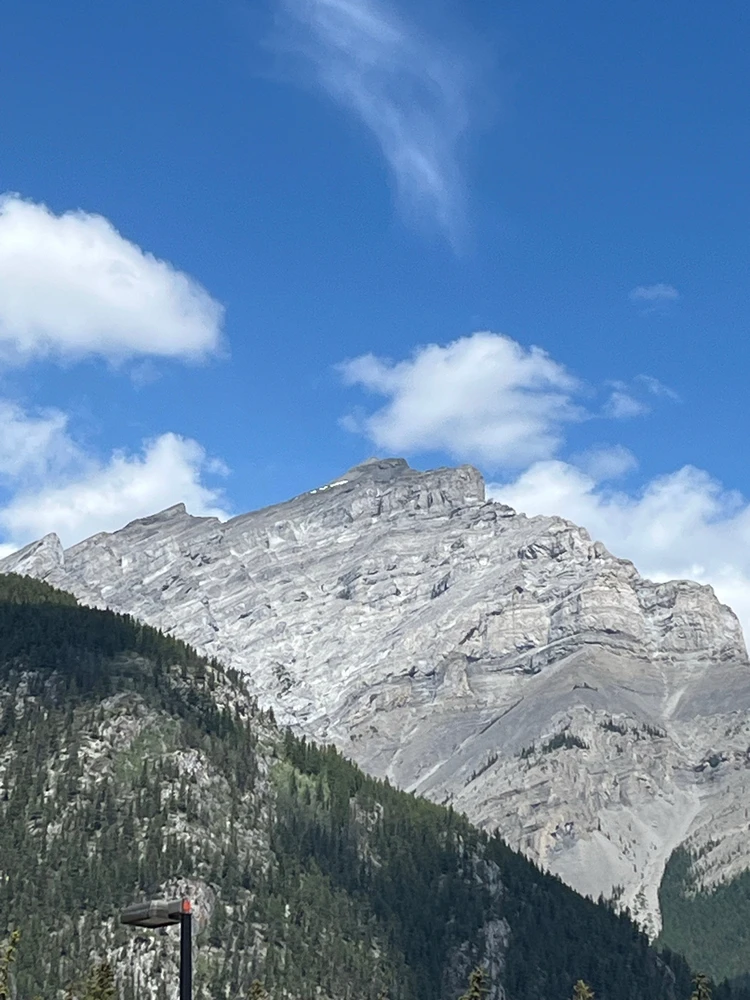 Image uploaded by Brad