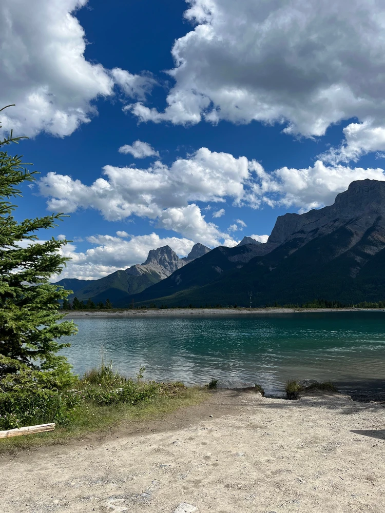 Image uploaded by Brad