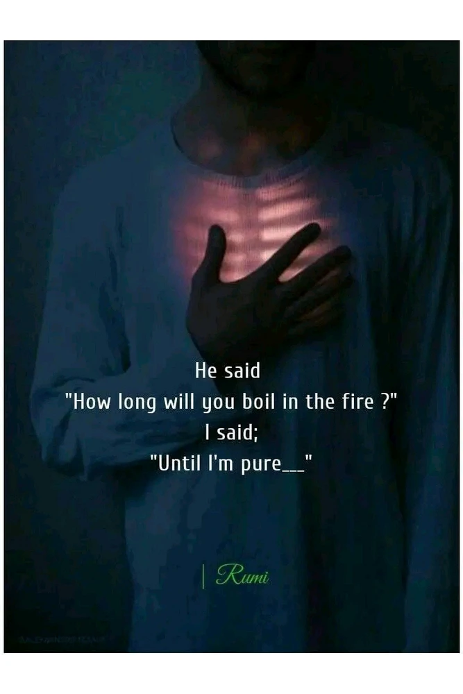 Image uploaded by Dolly