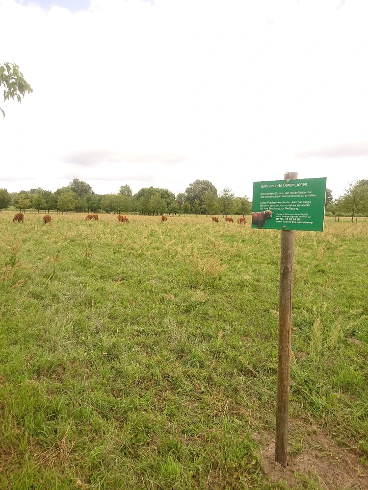 Bild hochgeladen von Lenny