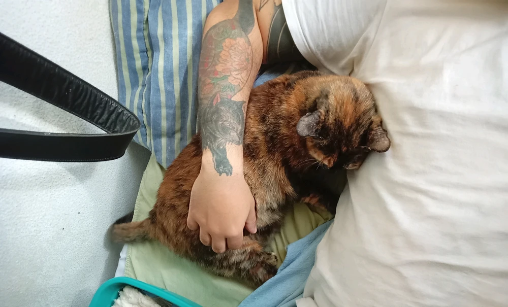 GIF enviado por Bernardo