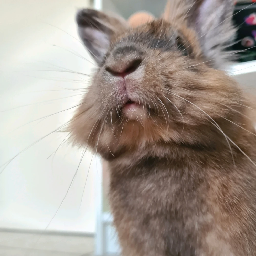 Mimi님이 올린 사진