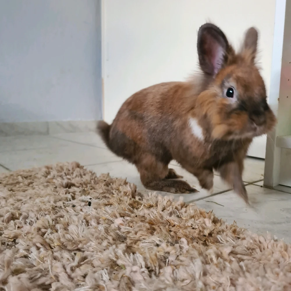 Mimi님이 올린 사진