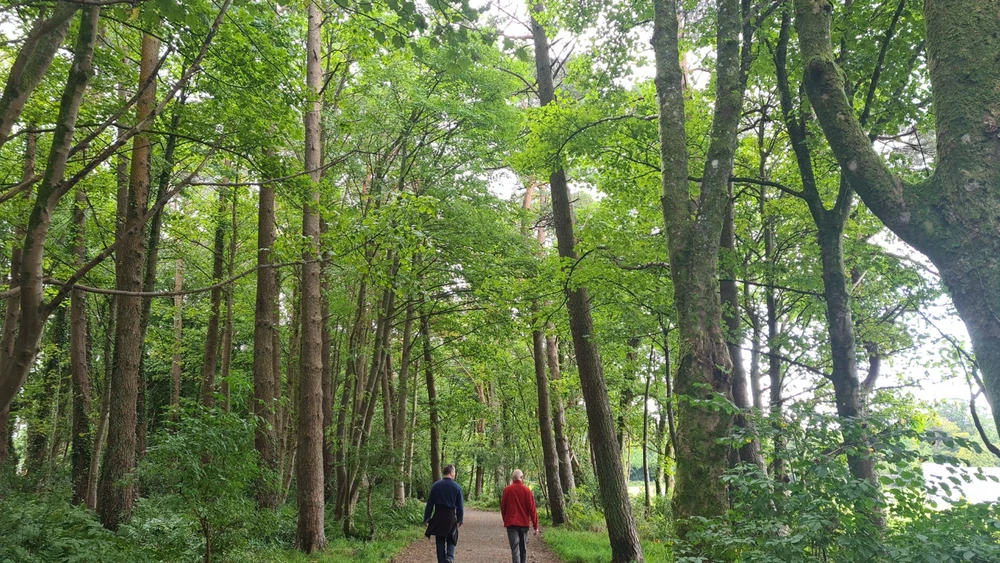 Share some of your best outdoor pictures