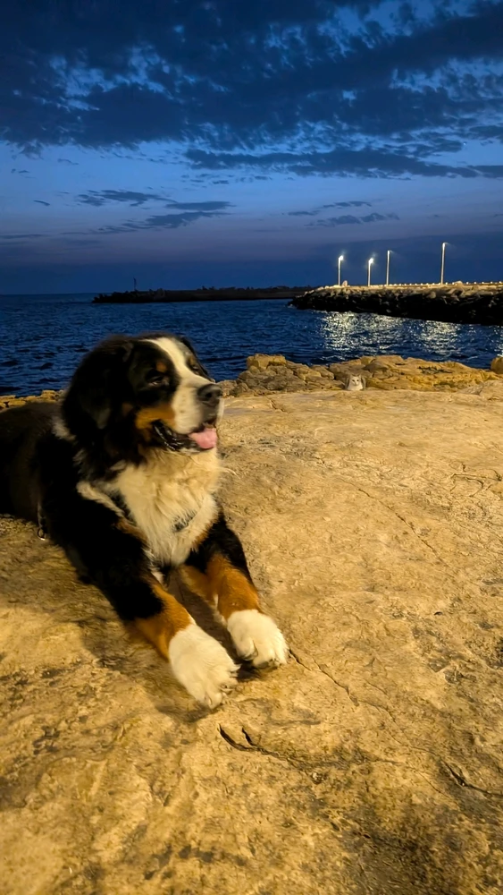 GIF caricata da Stefano