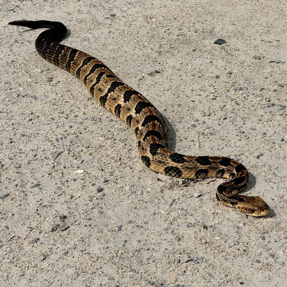 GIF uploaded by Josh