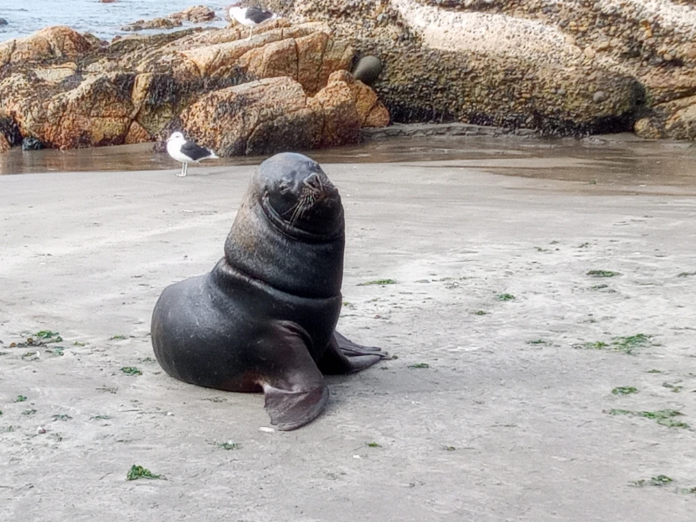 Image uploaded by Gary