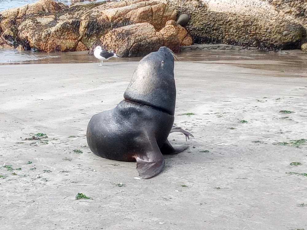 Image uploaded by Gary