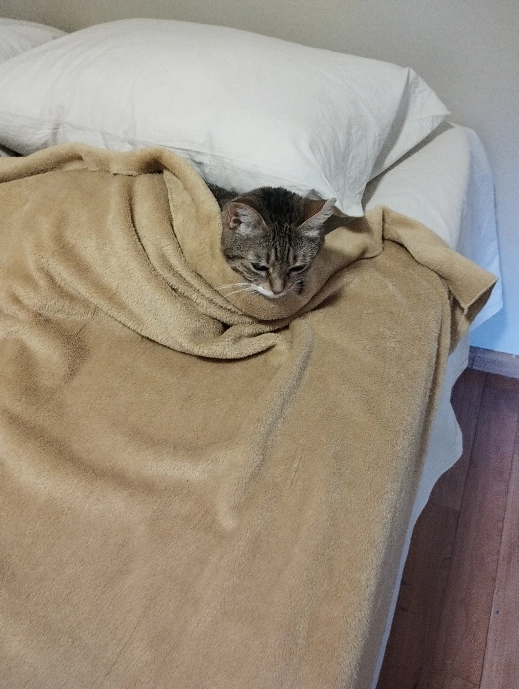 GIF ji aliyê Diego ve hatiye barkirin