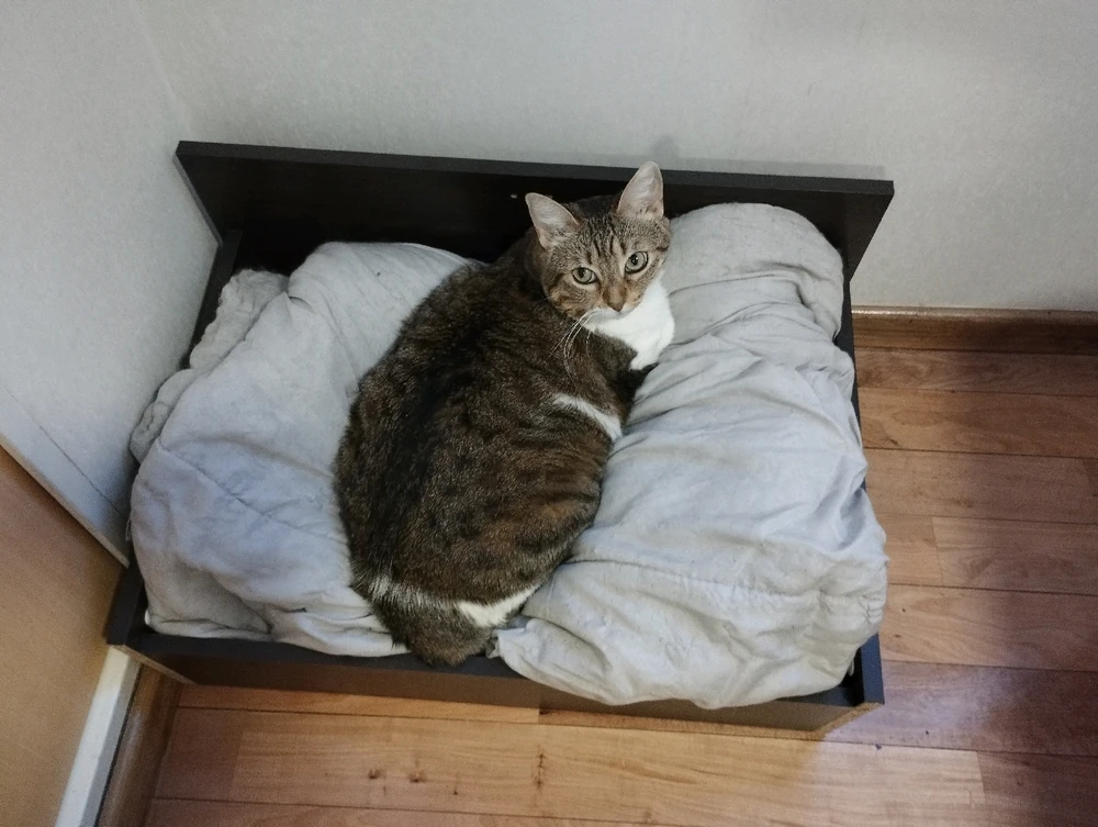 Diego жүктөгөн GIF