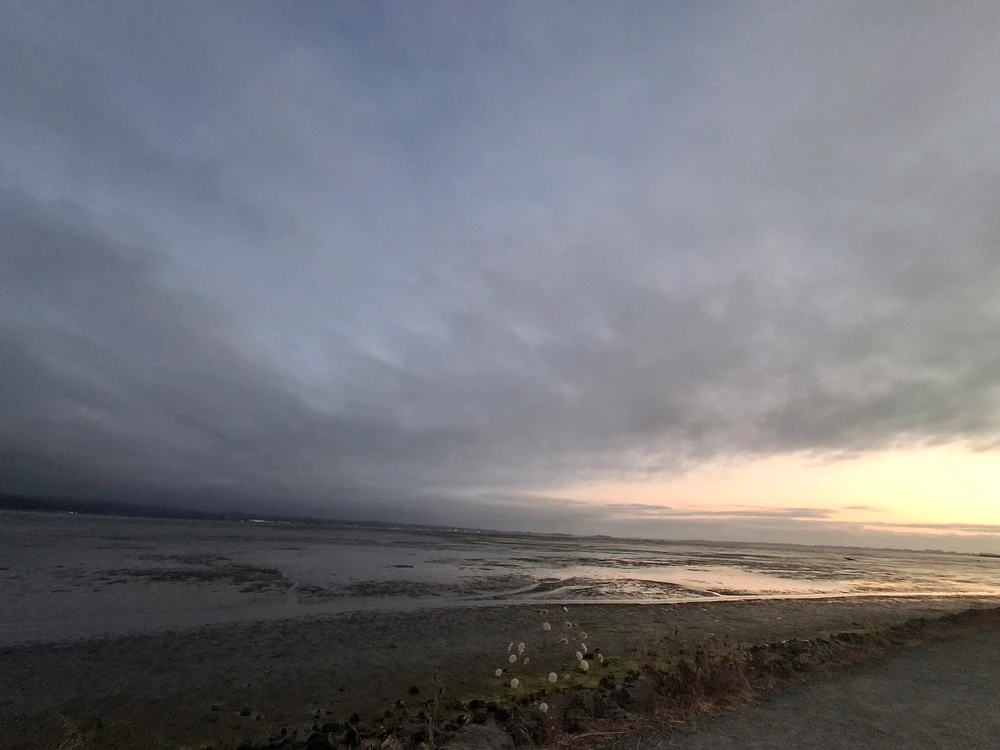 Sundown at the Marsh